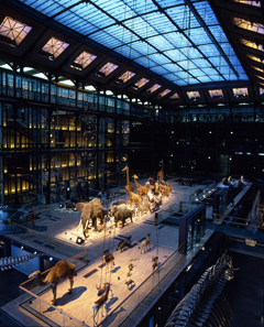 Museum of Natural History, Paris