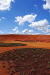 Thumbnail image of Red Sand Garden, Cranbourne