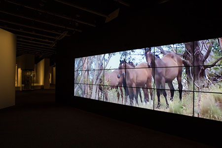 The entrance to the exhibition, Spirited: Australia’s Horse Story