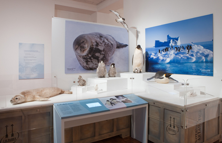 The 'Inhabitants' exhibit