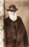 Darwin photo portrait thumbnail