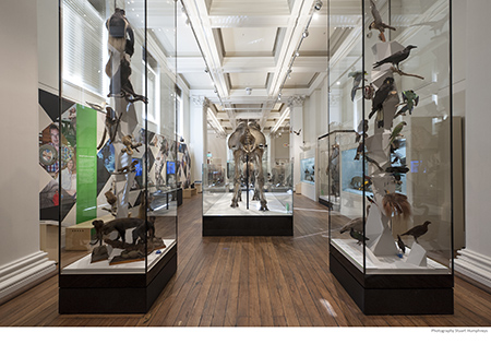 Wild Planet exhibition