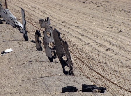 Fence posts from the property where the Haven bushfire first started on 7th February 2009