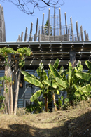 Fig. 2. Exterior of CCT, from traditional gardens and Kanak path.