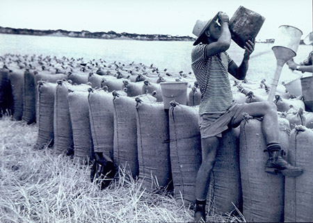 German emigrant Martin Neumann’s friend Vito, with a similar drinking bag to that on display in the exhibition, during the grain harvest in South Australia, about 1960