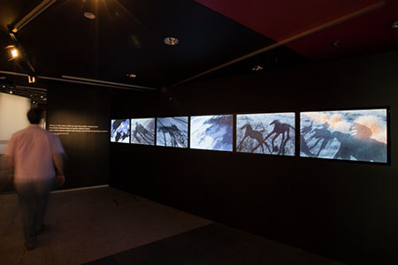 Horse shadows create light, movement and atmosphere