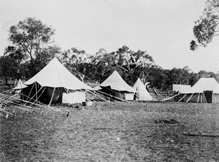 Campsite occupied by federal members of parliament, Canberra, 1909