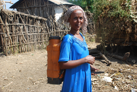Woman in Metema community, Ethiopia, using knapsack sprayer