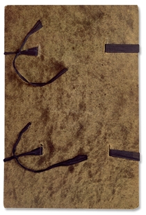 Binding of Mueller's second educational collection, 1875