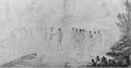 Captain Cook arrival picture