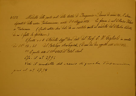 Accompanying documentation for the mask
