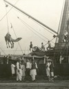 Cameleer exhibition thumbnail