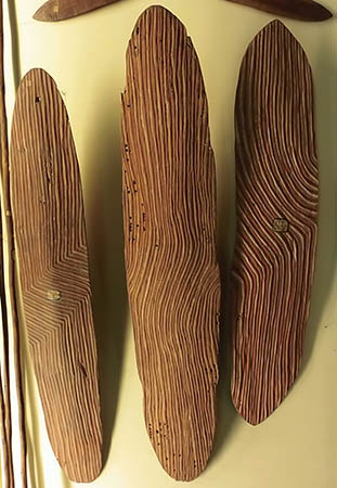 Shields on display