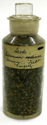 Mukharji sesame seed jar