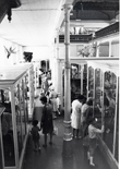 The old 'Cabinet of Curiosities' mammal gallery, South Australian Museum north wing