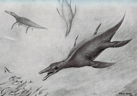 Fig. 15. 'Restoration of Kronosaurus queenslandicus'
