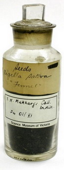 Mukharji fennel seeds jar