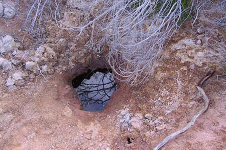 Soak showing how desert people were able to access water close to the surface with minimal digging, 2007