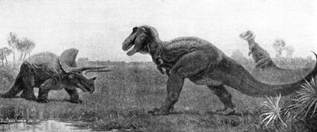 Fig. 7. Illustration 25 from AS Romer,
Man and the Vertebrates, Penguin, Harmondsworth, Middlesex, 1954 (1933), vol 1