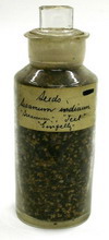Mukharji sesame seed jar thumbnail